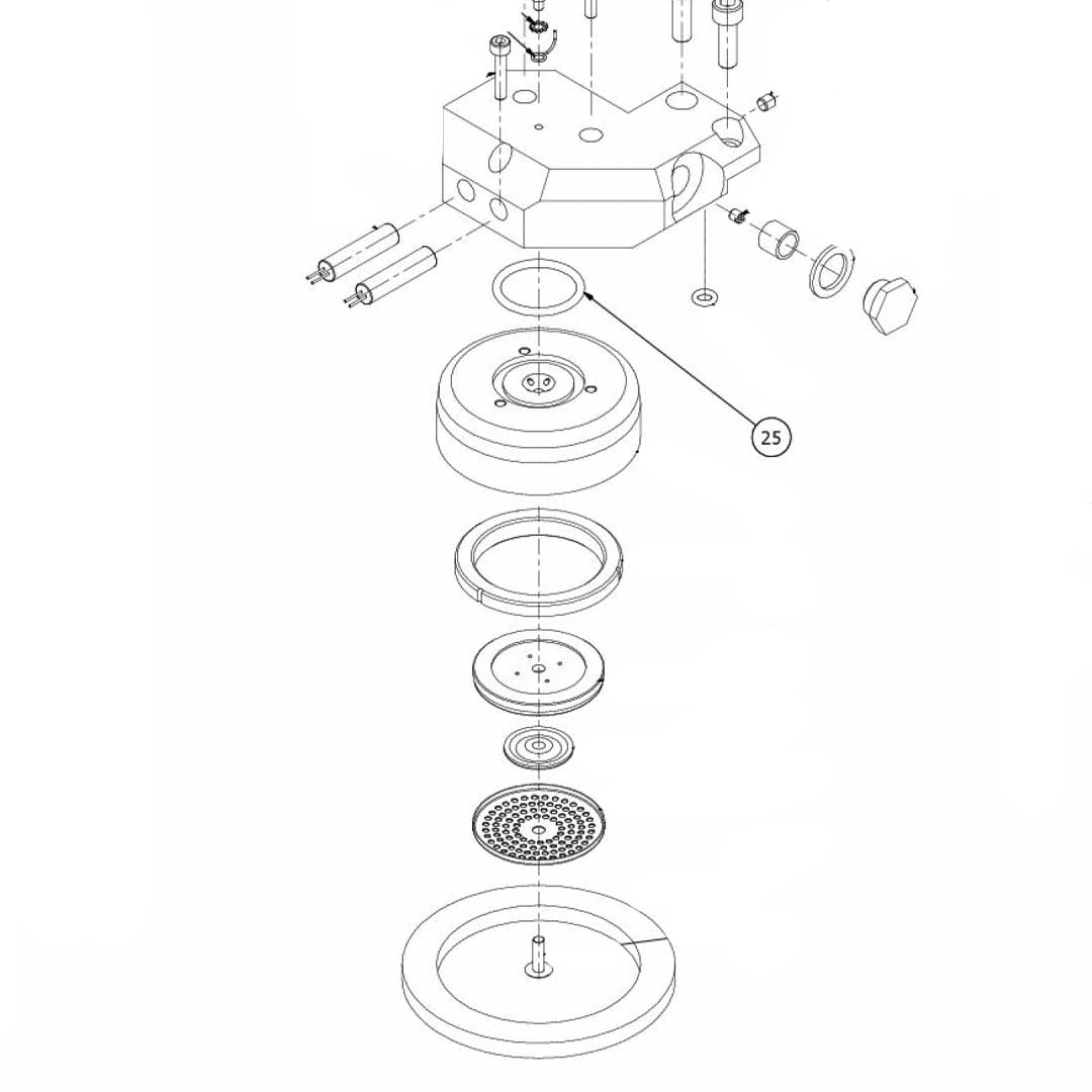 7496004.01 Gasket Or 139 Viton Fda