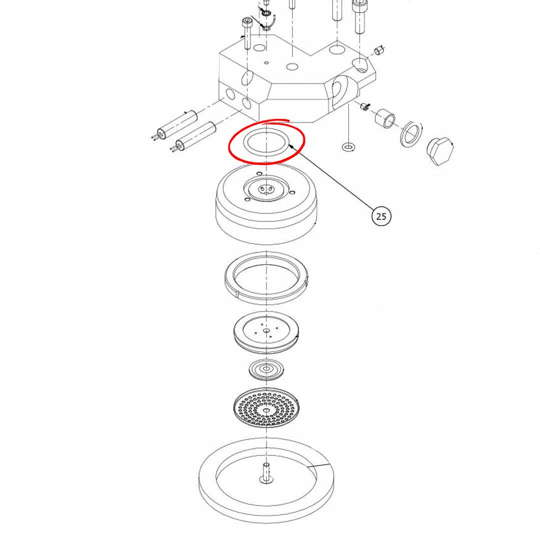 7496004.01 Gasket Or 139 Viton Fda